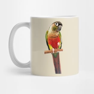 Green Cheek Conure Parrot Bird design | Green cheek | Love for birds Mug